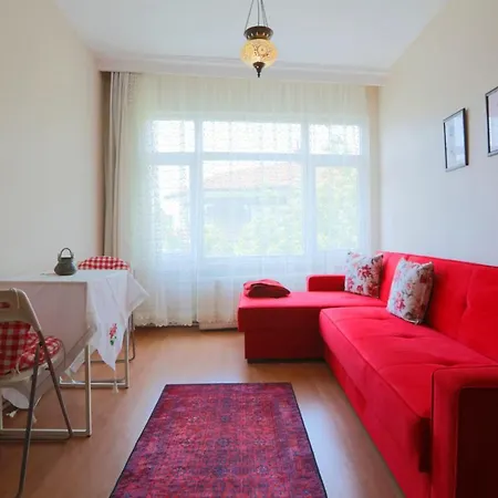 Flat With Two Living And Balcony In Uskudar Daire