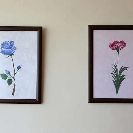 Apartment Flat With Two Living And Balcony In Uskudar Istanbul