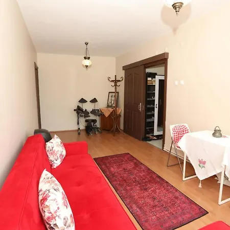 Daire Flat With Two Living And Balcony In Uskudar *