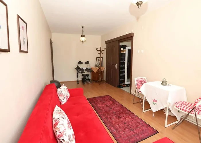 Apartamento Flat With Two Living And Balcony In Uskudar *
