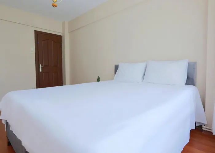 Apartamento Flat With Two Living And Balcony In Uskudar *