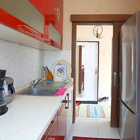 Lejlighed Flat With Two Living And Balcony In Uskudar