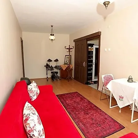 Flat With Two Living And Balcony In Uskudar Istanbul