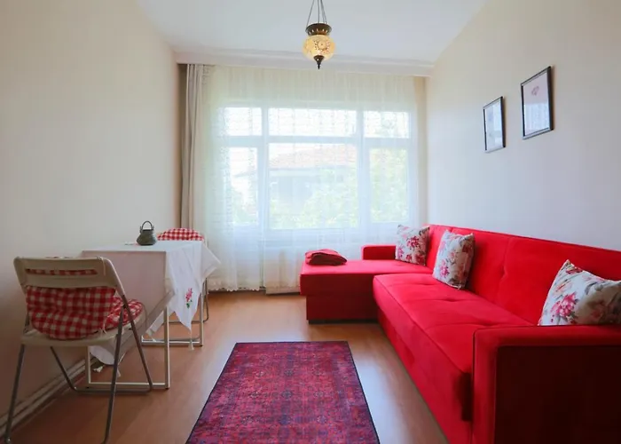 Flat With Two Living And Balcony In Uskudar Apartment